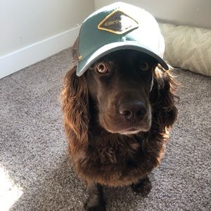 Meet your Posher, Kinsey